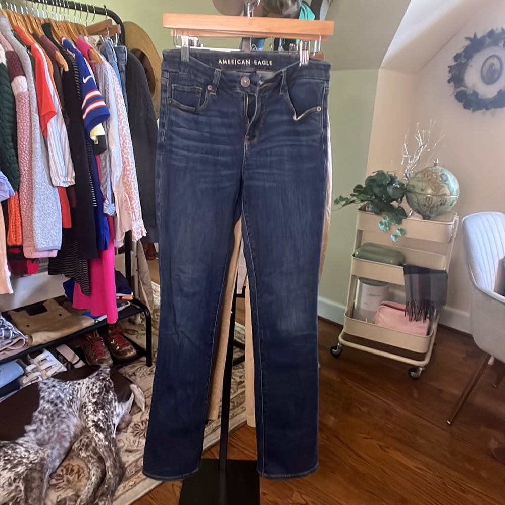 American Eagle Stretch Blue Jeans.